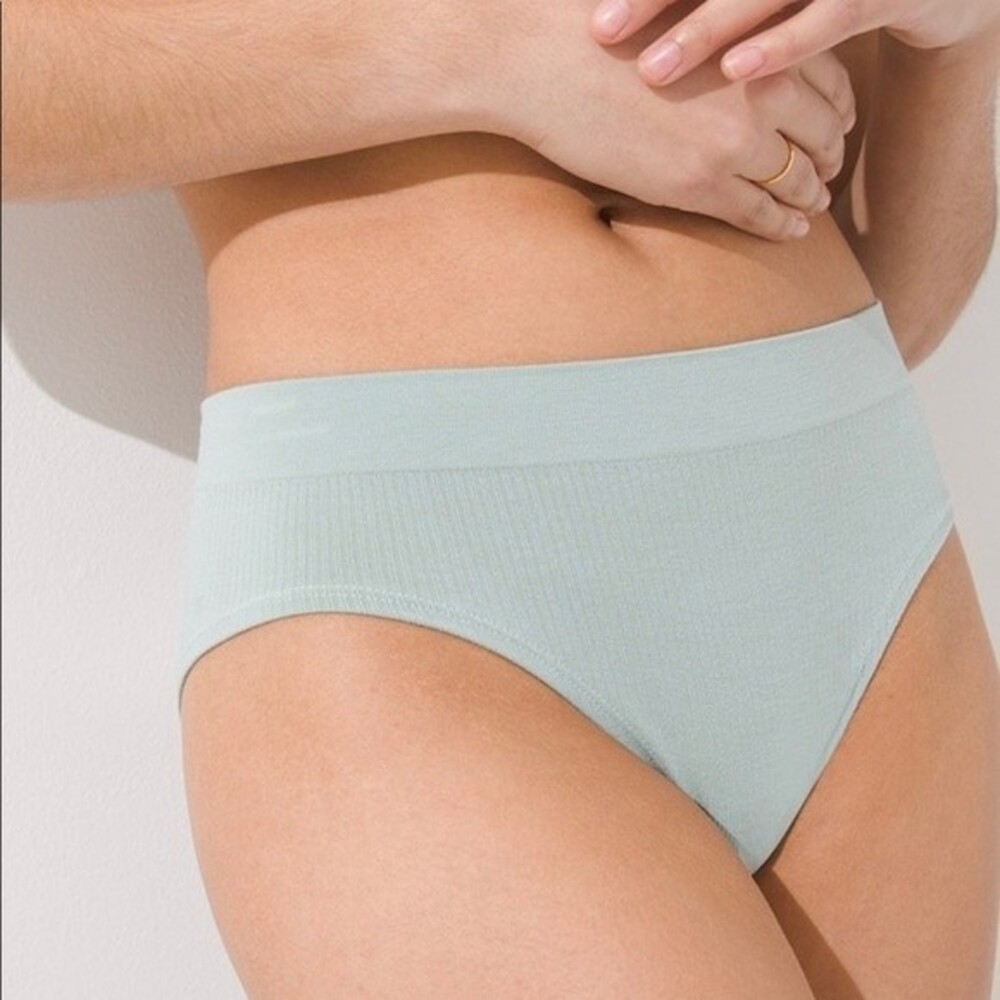 Soma Seamless Aloe Ribbed Hipster in Size XLarge